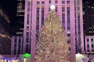 岡田光世「トランプのアメリカ」で暮らす人たち 「メリー・クリスマス」は禁句になったのか