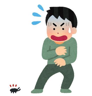 アルゼンチンモリゴキブリのニュースに悲鳴が…