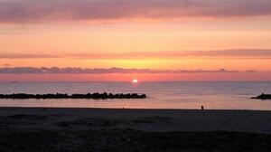 「200～300人の遺体か」最初に速報された場所は今　人が住まなくなった仙台・荒浜の復興【#これから私は】