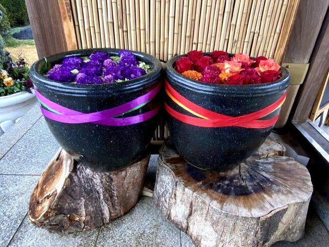 紫のトルコ桔梗の花言葉は「希望」、赤のバラは「情熱」、両方に使用されてる緑の紫陽花は「ひたむきな愛」だという