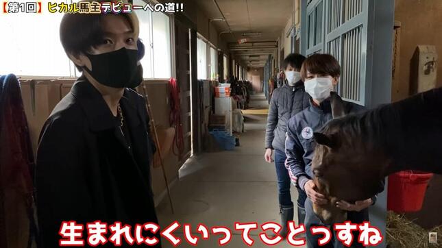 ヒカルさんのYouTube動画「【馬主デビュー】地元兵庫で馬のオーナーになります」より
