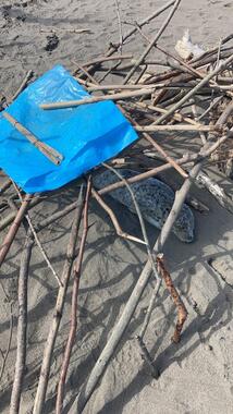 Fishing moodさんはカラス除けを作った
