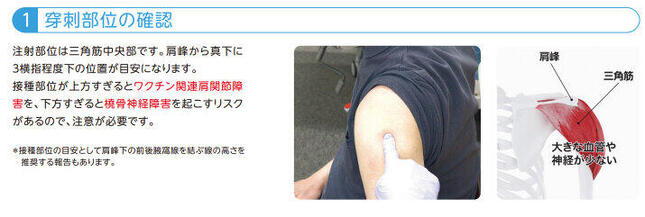 注射位置は、肩の出っ張った部分から約6センチ下の部分