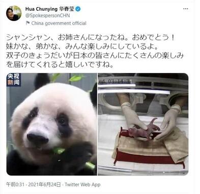 中国外務省の華春瑩報道局長による3か月ぶりの日本語ツイート。パンダの双子の誕生を「シャンシャン、お姉さんになったね。おめでとう！妹かな、弟かな、みんな楽しみにしているよ」などと祝った