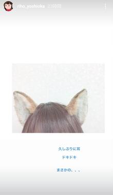 吉岡里帆さんのインスタグラムから