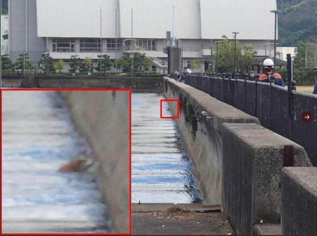 海上保安庁公式ツイッター（@JCG_koho）の2021年10月14日の投稿より