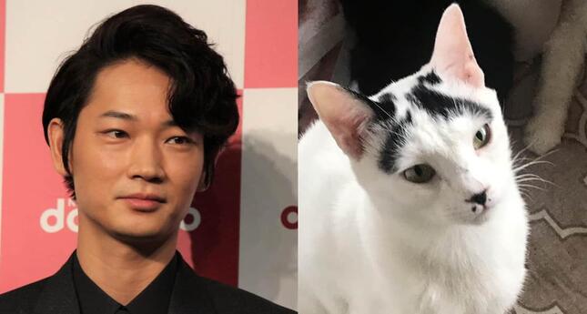 綾野剛さん（2015年撮影）と猫のアヤノゴー君