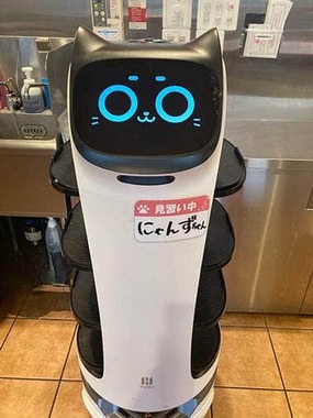 飲食店に導入されている猫型ロボット（写真提供：USEN）