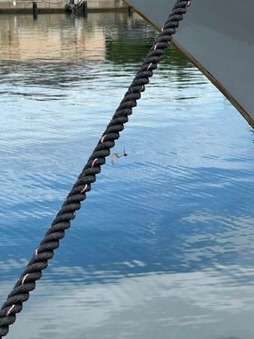 今回とは別件で、船の係留ロープに釣り針が付いたという（写真は、佐藤栄治郎船長提供）