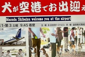  柴犬10匹以上が空港でお出迎え　「聖地」の可愛すぎるサービスが反響...企画者感動「ファンの情熱感じた」