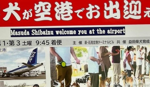 柴犬10匹以上が空港でお出迎え　「聖地」の可愛すぎるサービスが反響...企画者感動「ファンの情熱感じた」