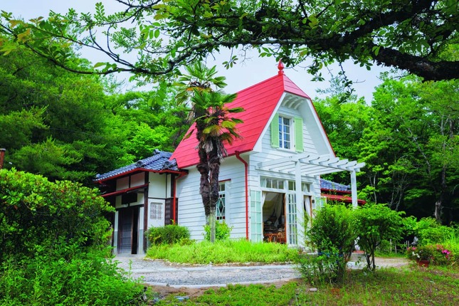 どんどこ森の「サツキとメイの家」（C）Studio Ghibli