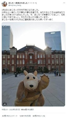 行方不明になったパペット「まじろー」（ツイッターアカウント@majilow_changより）