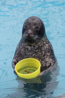 ツイッターユーザー・ゆー（＠yh__photos）さんの投稿より