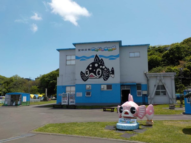 写真提供：室蘭民報みんなの水族館（市立室蘭水族館）