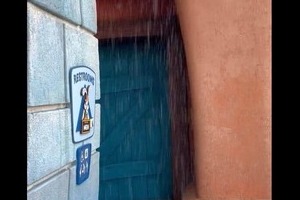 「トイレ行くのに濡れるの嫌だな」　TDL「びしょ濡れ」スポットに懸念広がる...運営謝罪「状況に応じて対応」