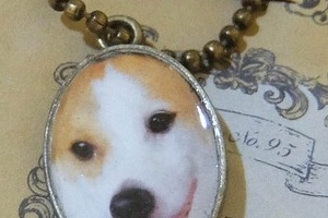 死別した愛犬・けやきのペンダントはどこに　失意に暮れる飼い主、Xで起きた奇跡。「優しいリレー」でなんと発見