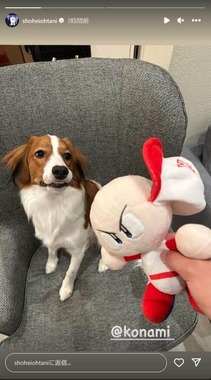 大谷翔平選手のインスタグラム（shoheiohtani）より