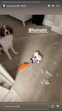 大谷翔平選手のインスタグラム（shoheiohtani）より