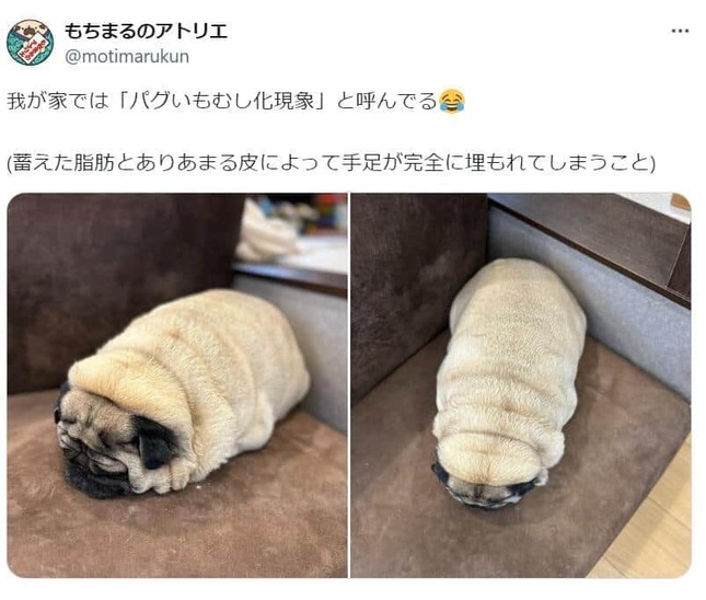 もちまるのアトリエ(＠motimarukun)さんのポスト