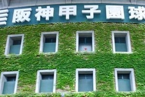 センバツ高校野球　被災の日本航空石川、初戦突破ならず