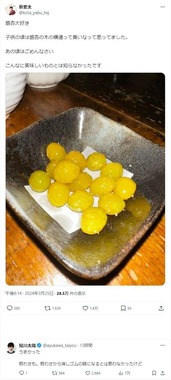 薮宏太さんのX（＠kota_yabu_hsj）より