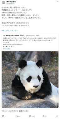 神戸市広報のX（@kobekoho）より