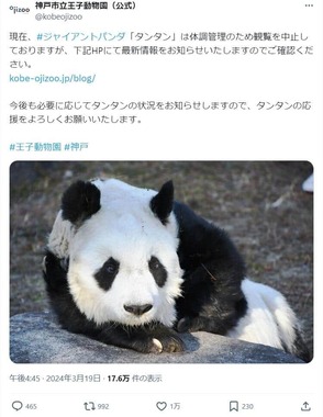 タンタン（神戸市立王子動物園のX（@kobeojizoo）より）