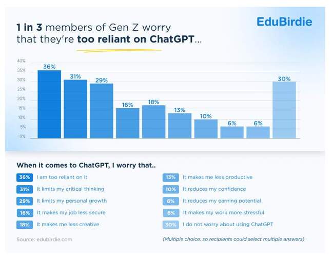 ChatGPTの利用に対する心配（EduBirdie公式サイトより）