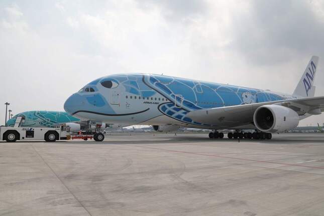 ANAのA380型機（フライングホヌ）