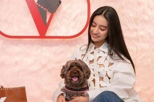 木村拓哉、工藤静香、koki,そろって「犬」投稿　親子で「ワンちゃん愛」