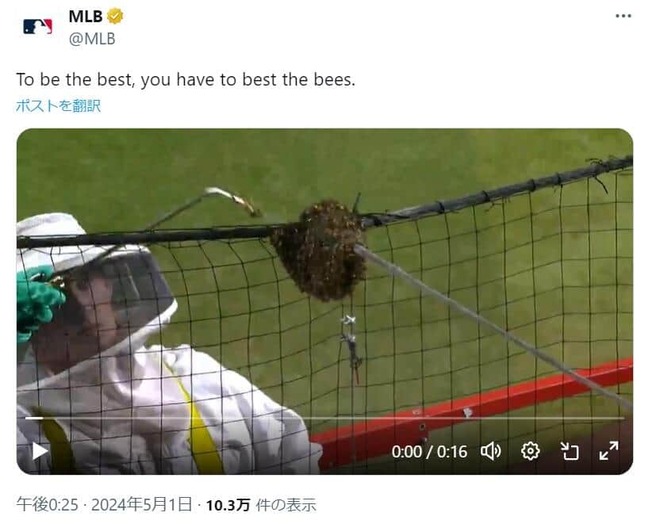 ハチが大量発生し駆除（MLB公式Xより）