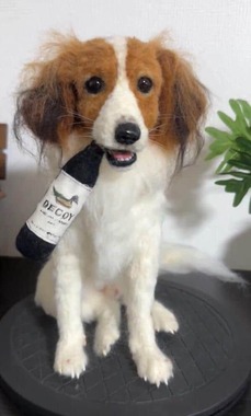 画像提供：わたわたペット＠中の人(＠watawata_pets)さん