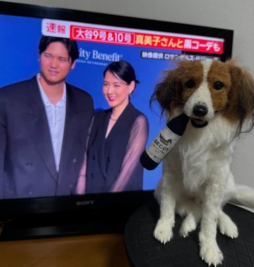 画像提供：わたわたペット＠中の人(＠watawata_pets)さん