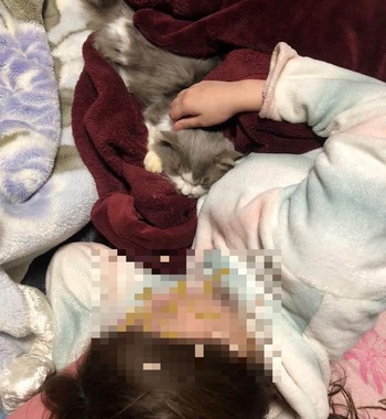 寄り添う今回のネコ（写真は、うさ＠____Usaさん提供）