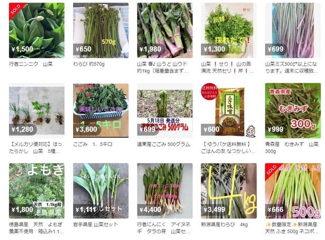 メルカリで販売されている「山菜」のカテゴリ