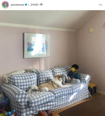 pecoさんのインスタグラム（＠pecotecooo）より