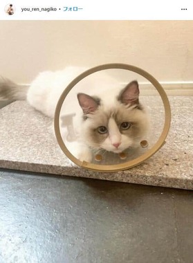 遠野なぎこさんのインスタグラム（＠you_ren_nagiko）より