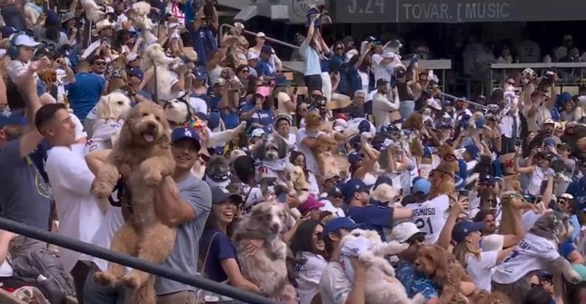 ドジャース公式Xより