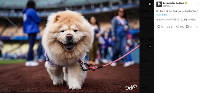 ドジャース公式Xより