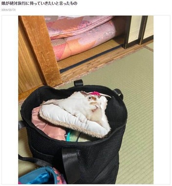 「がっくん」のぬいぐるみ。小林礼奈さんのブログより