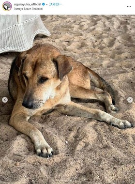 小倉ゆうかさんのインスタグラム（＠ogurayuka_official）より