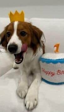 大谷選手のインスタグラムより