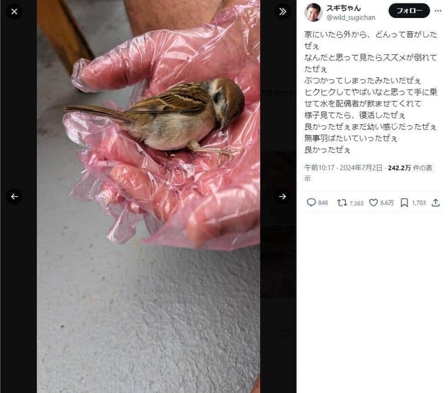 スギちゃんの手の中で横たわるスズメ（写真はスギちゃんのXから）