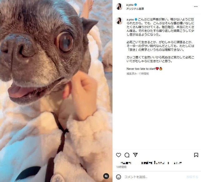 浜崎あゆみさんのインスタグラム（＠a.you）より