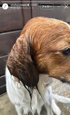 大谷翔平選手のインスタグラム（＠shoheiohtani）より