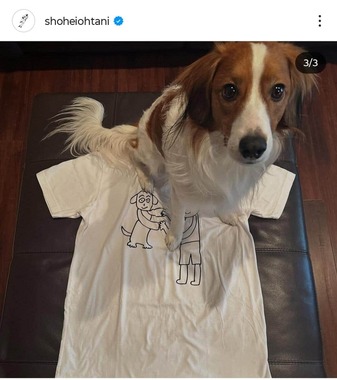 大谷翔平選手のインスタグラム（＠shoheiohtani）より