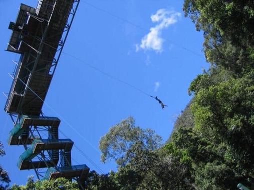 「バンジージャンプ！」と口走ったことで飛ぶ羽目に