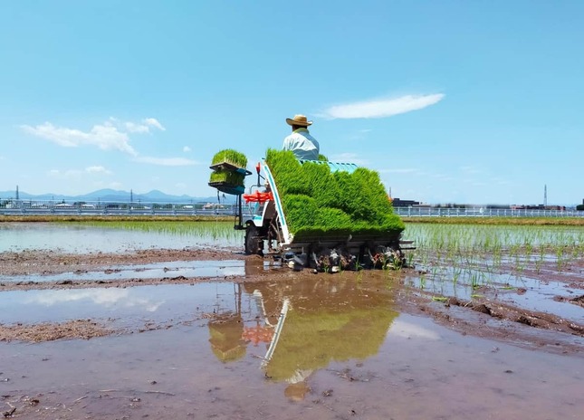 コメの供給力が低下している