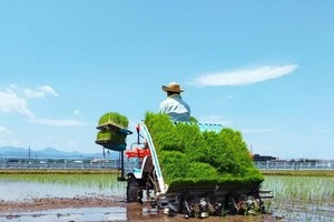 備蓄米どこ？店に届いたのは1.4％だけ...原因を探ると　中小の卸売業者が入札できない「壁」があった